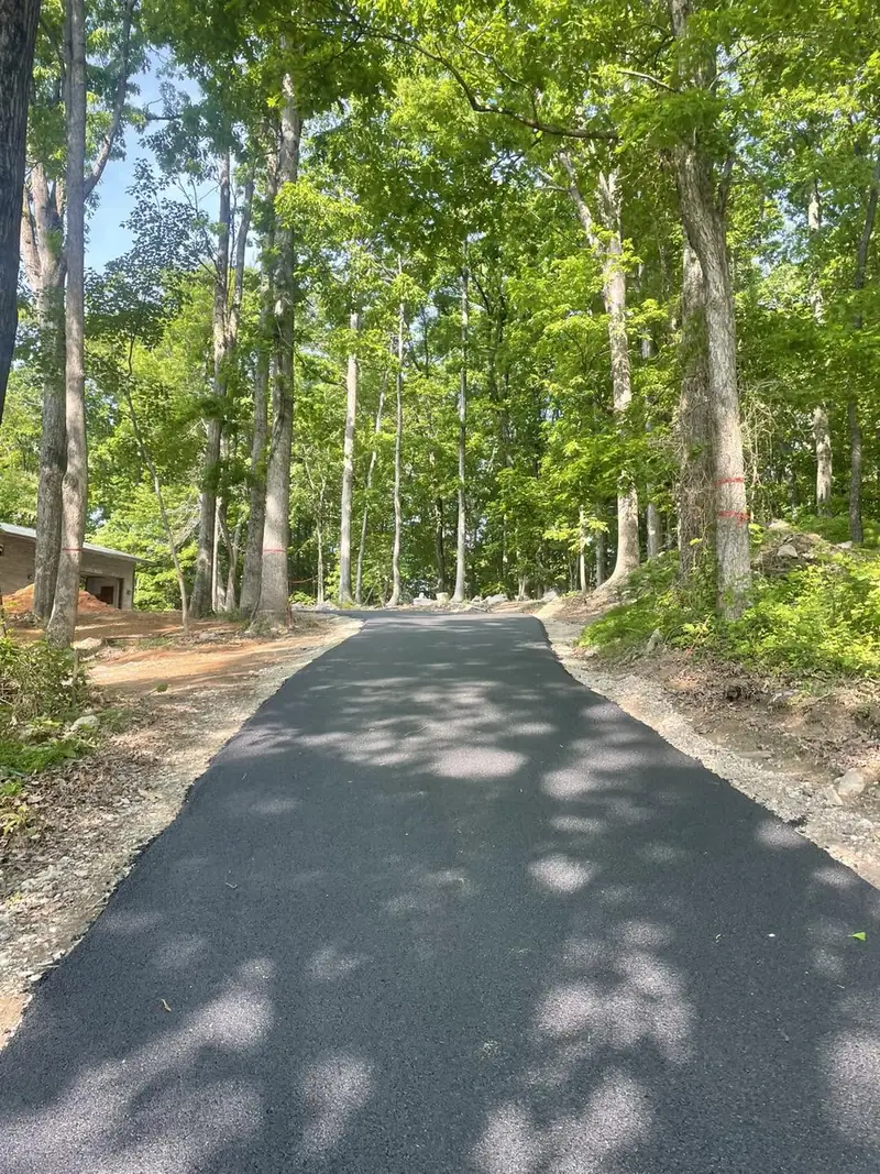 Newly paved driveway in dappled shade leading up to a wooded home site